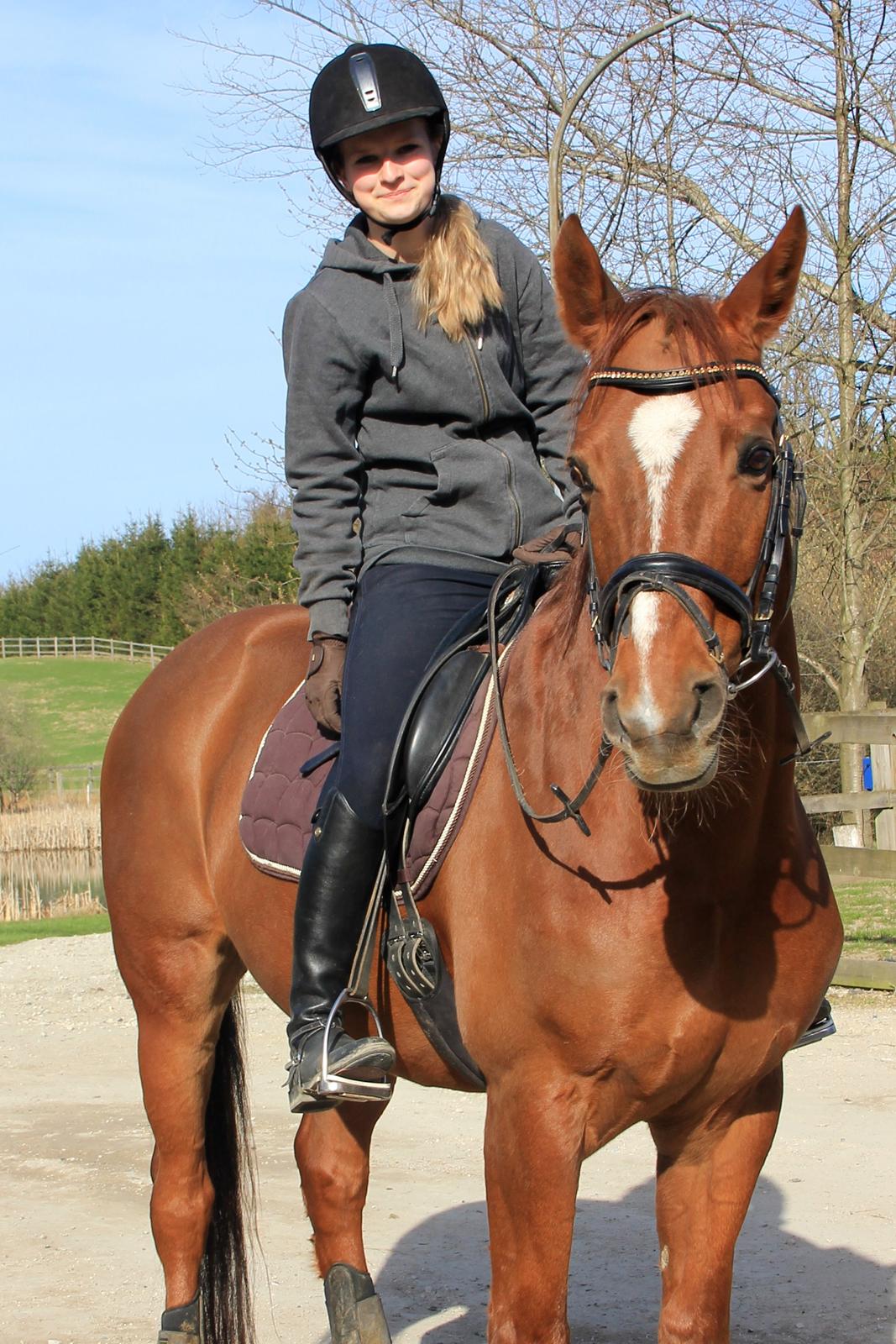 Anden særlig race May Carnation - May og jeg - April 2013 billede 2