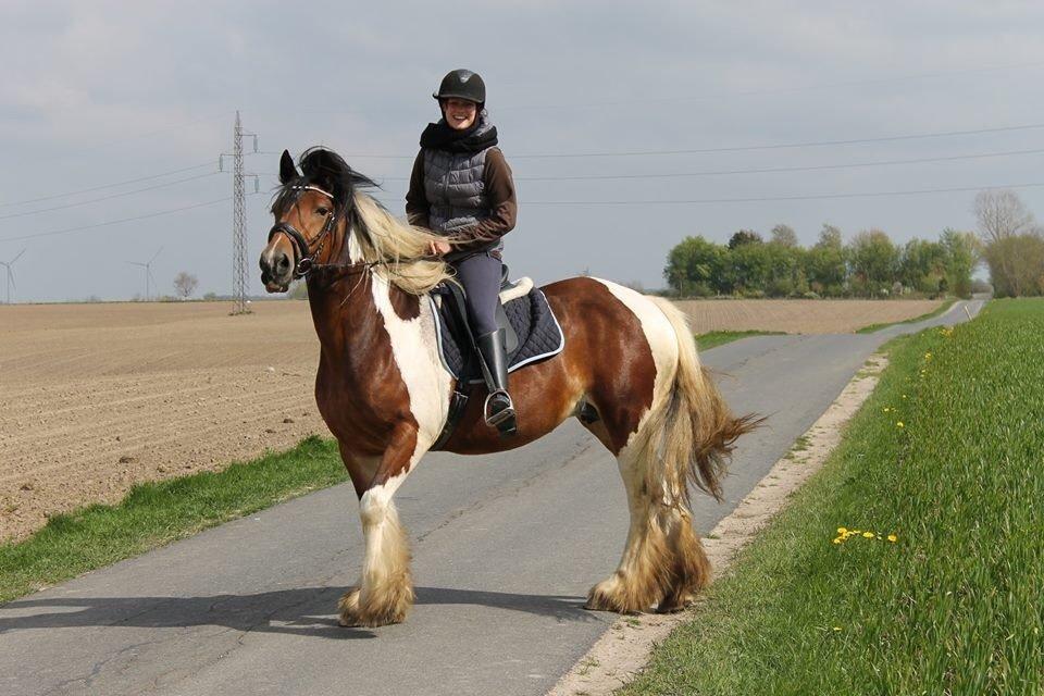 Tinker Satin's Con Fetti billede 14