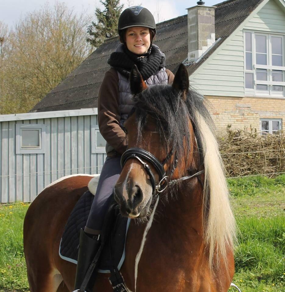 Tinker Satin's Con Fetti billede 16