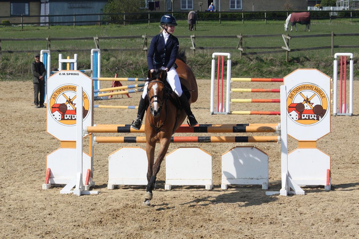 Dansk Varmblod Mulan *Lille Pigen* - LA1* 19.04.14 billede 37