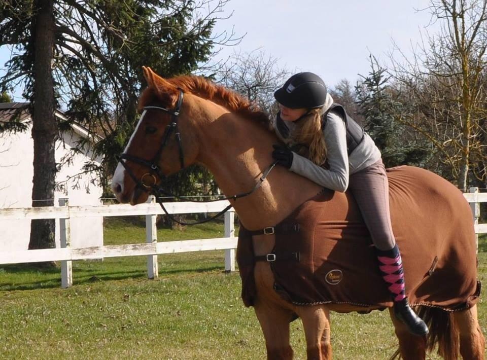 Dansk Varmblod Østerlykkes Frede - Første gang uden sadel <3 billede 4