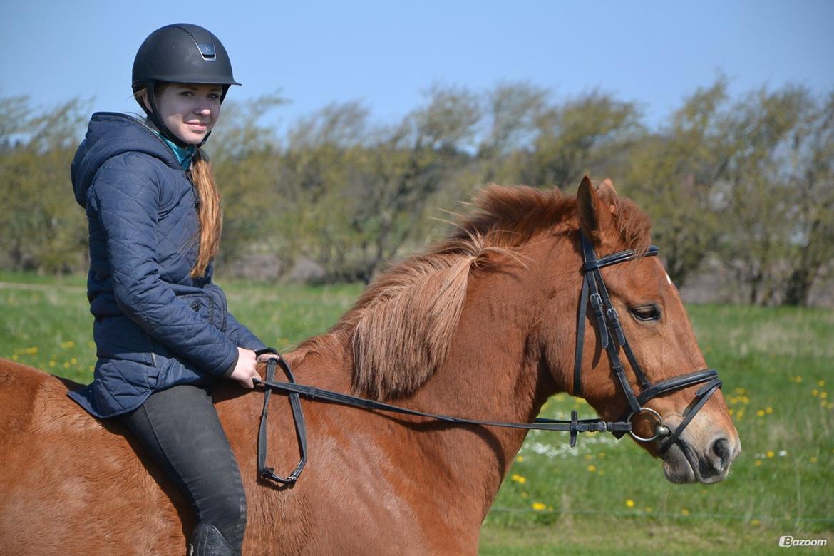 Anden særlig race Lykkelundens Jackpot<3 A pony billede 8