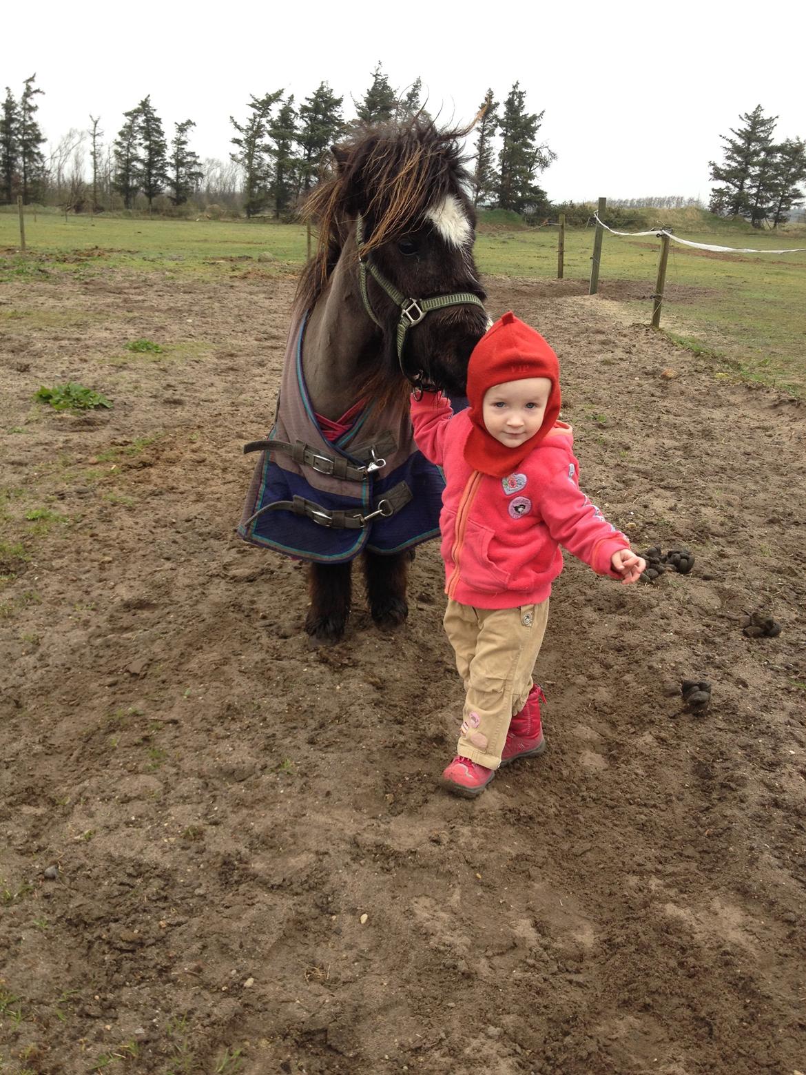 Anden særlig race Bella billede 18
