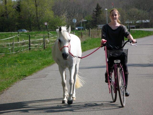 Anden særlig race Raija l Soulmate l <3 - 35 ♥ - Ude og lufte ponyen på vores 6½ års dag ♥ [ Foto: Annso ] ♥ 22. april 2014  billede 35