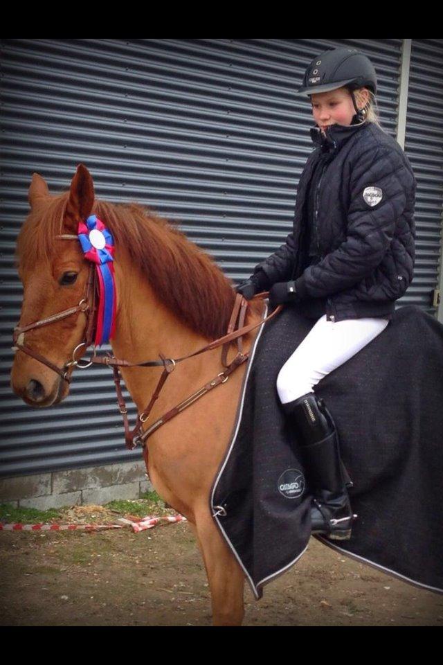 Anden særlig race Golden Fox<3 R.I.P - LB** metode b0 fejlfri.<3 billede 14