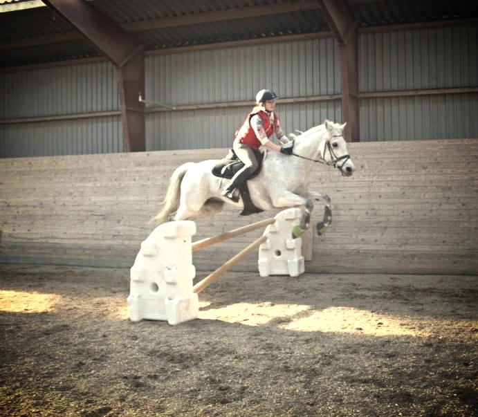 Connemara Hedegårdens Junker billede 19