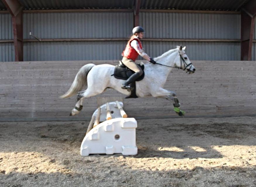 Connemara Hedegårdens Junker - Det var så sjovt at springe et spring der så sådan her ud. Anerledes til en forandring :-) billede 20