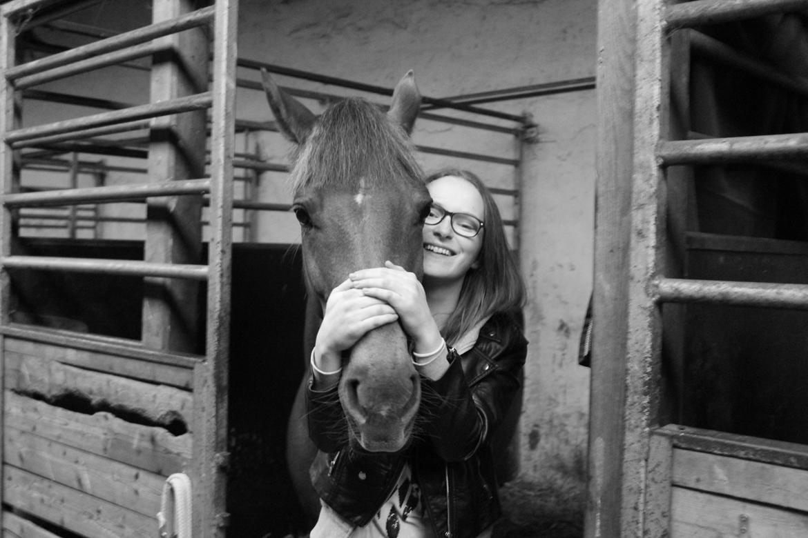 DSP Kærvangs GoldenFox - Jeg elsker dig jo, din fjollehyp billede 19