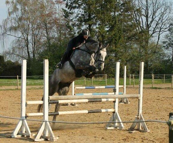 Holstener Blue Boy - Fantastiske Bobber<3  billede 2