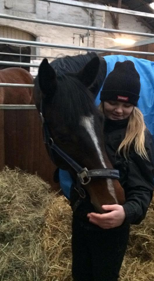 Holstener Talqui (talle) billede 17