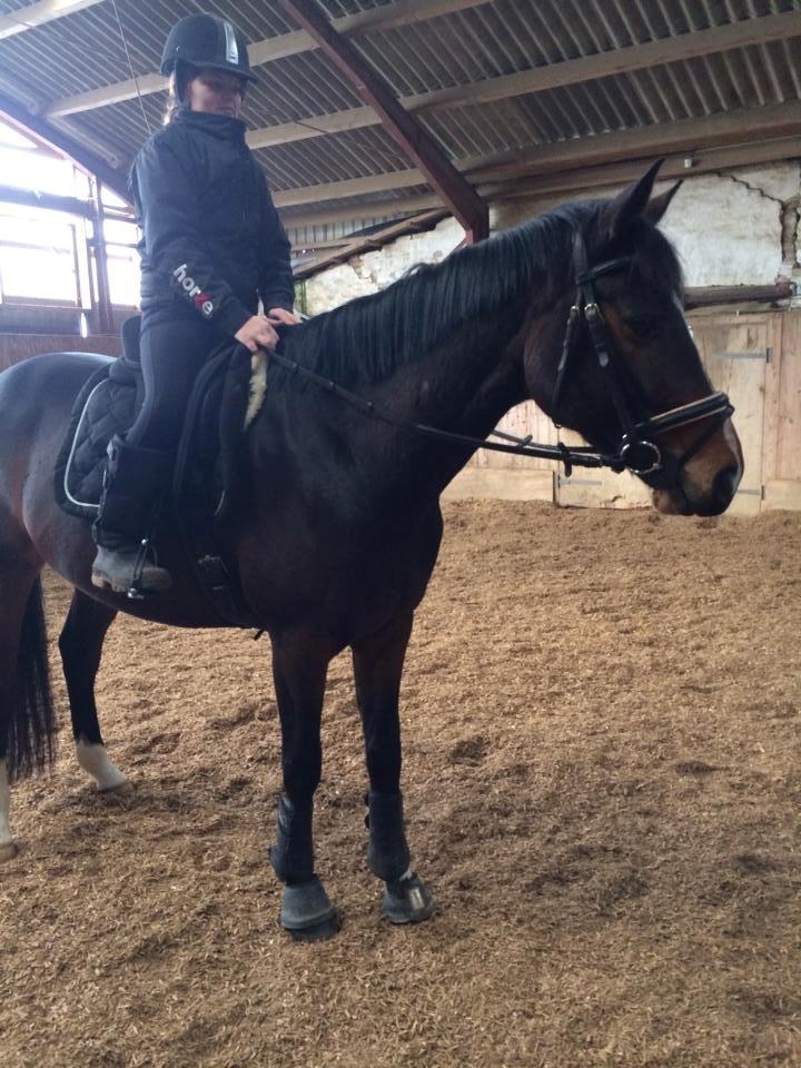 Holstener Talqui (talle) billede 18