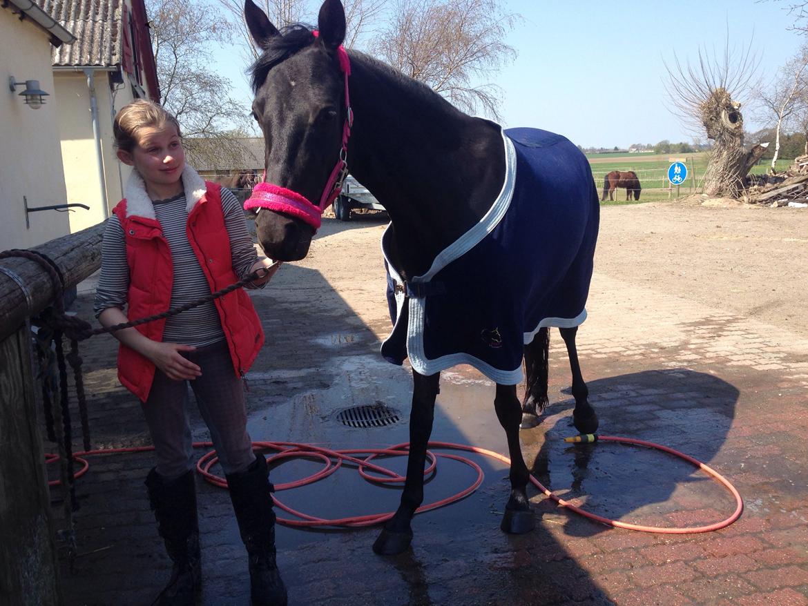 DSP Fiona billede 38