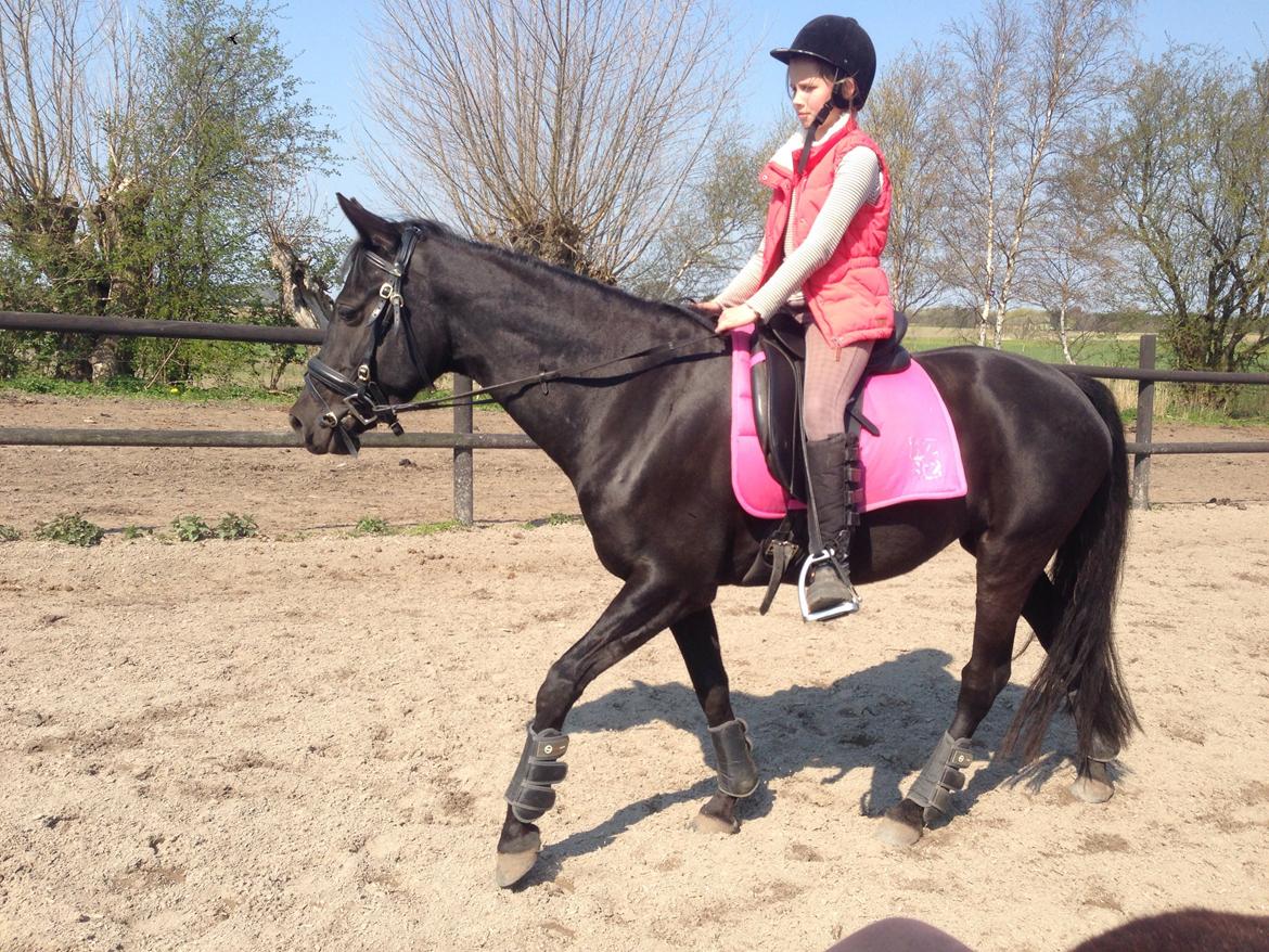 DSP Fiona billede 39