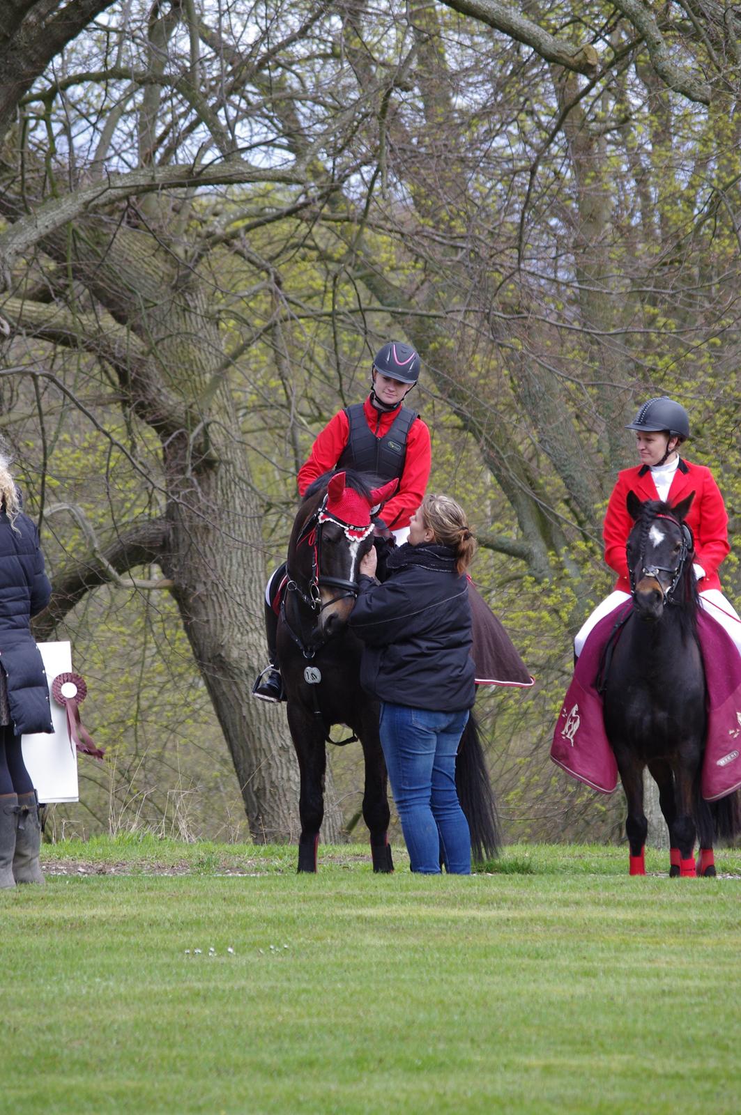 Oldenborg Rosenhavens Ann *YNDLINGS-HESTEN* billede 45