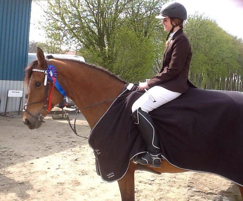 Dansk Varmblod Mon Cheri billede 7