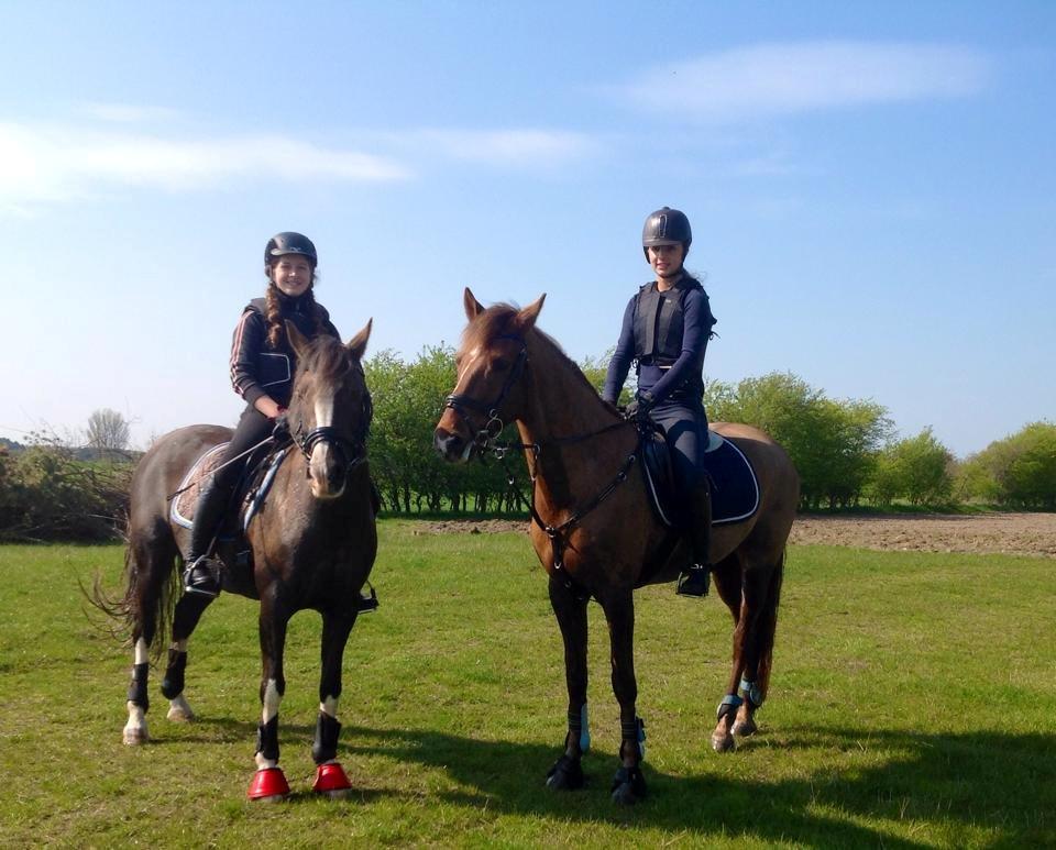 Anden særlig race Ricardo billede 11