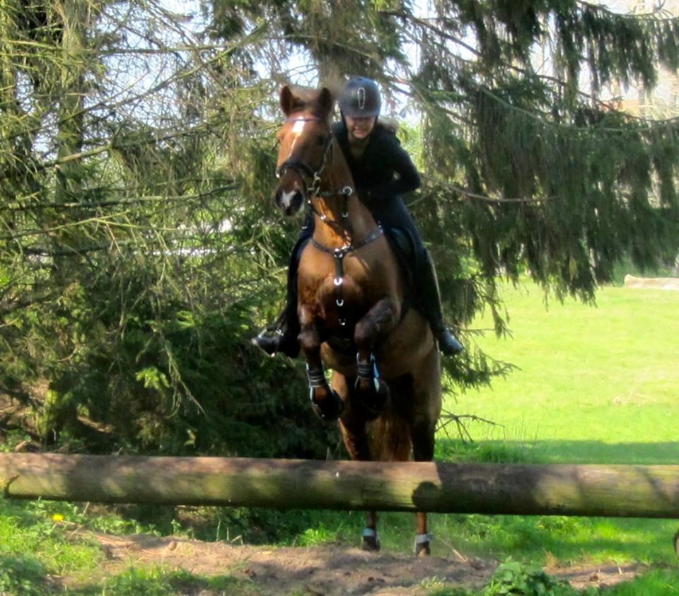 Anden særlig race Ricardo billede 23