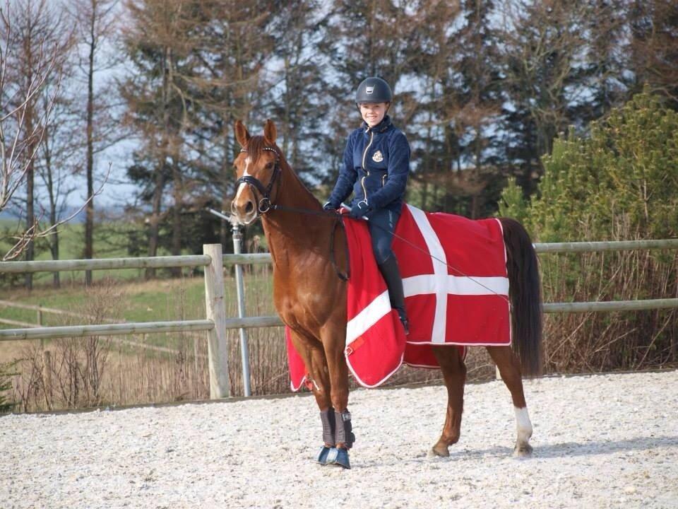 DSP Hedemands Choice billede 10