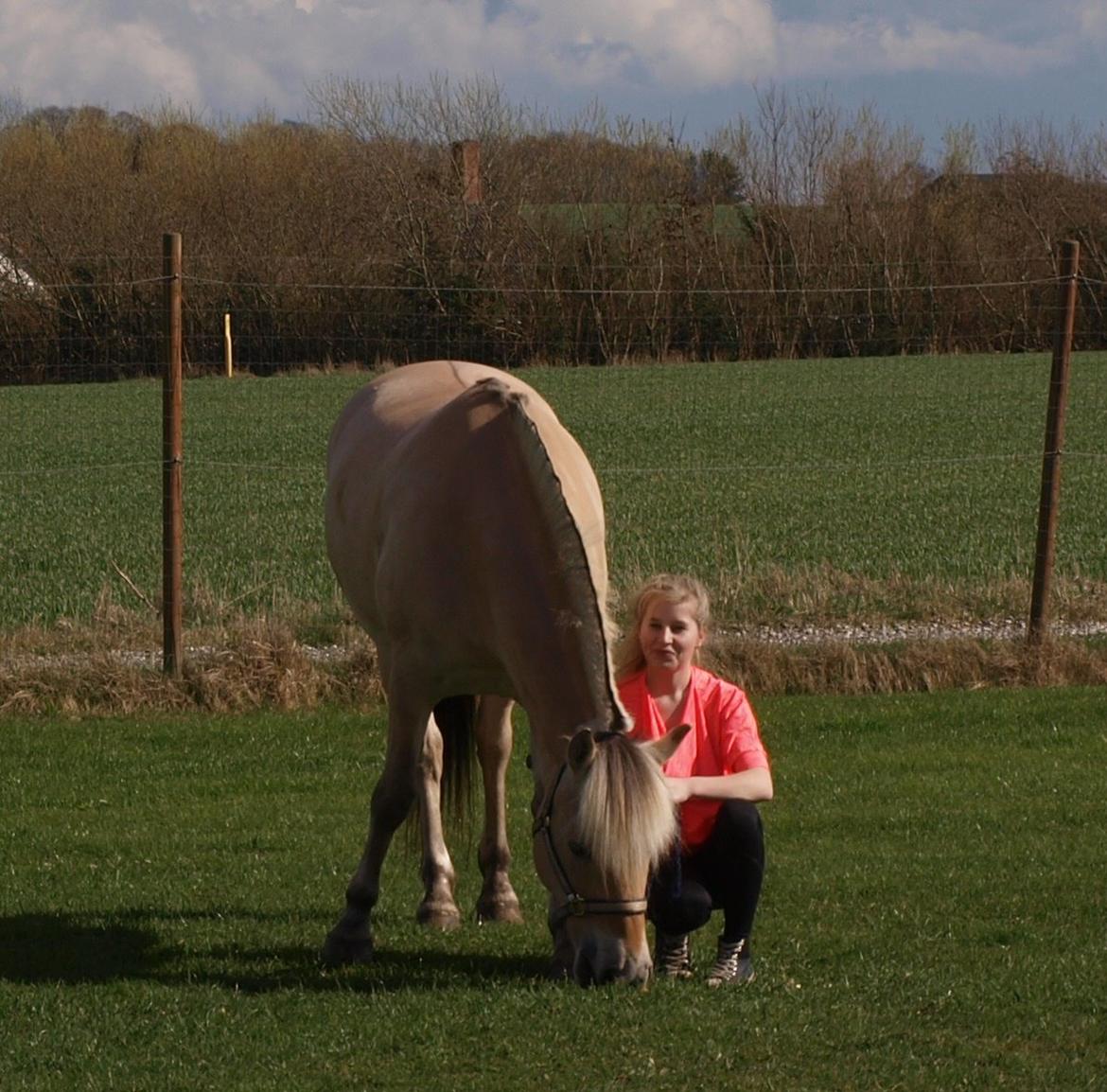 Fjordhest Sif  Kaptain ( min  store stjerne/guld klump) <3<3 - Sif og jeg på Sif'es 6 års fødselsdag den 11-04-2014<3 billede 9