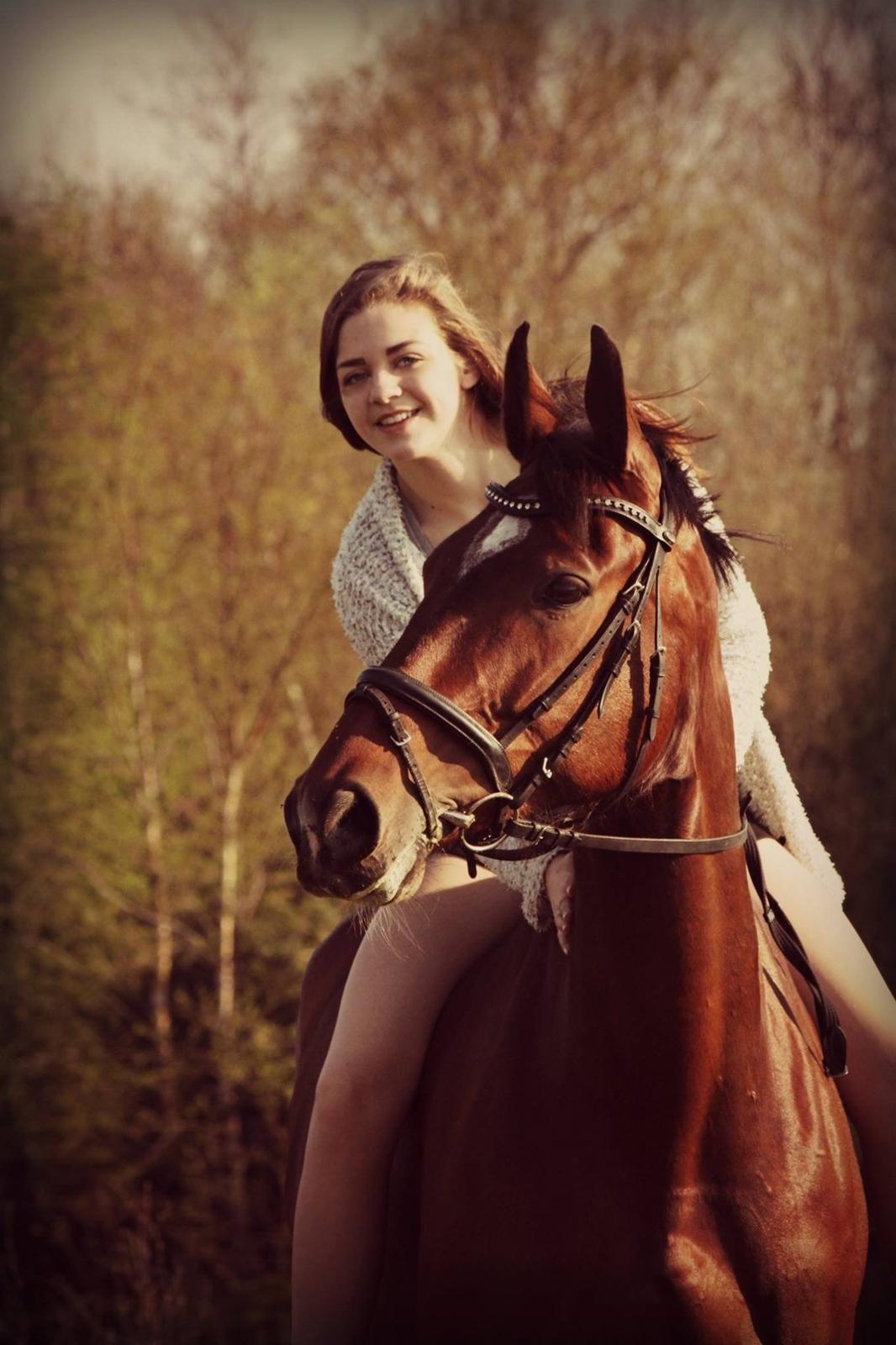 Oldenborg 3B's Amour  - Fantastiak hest billede 7