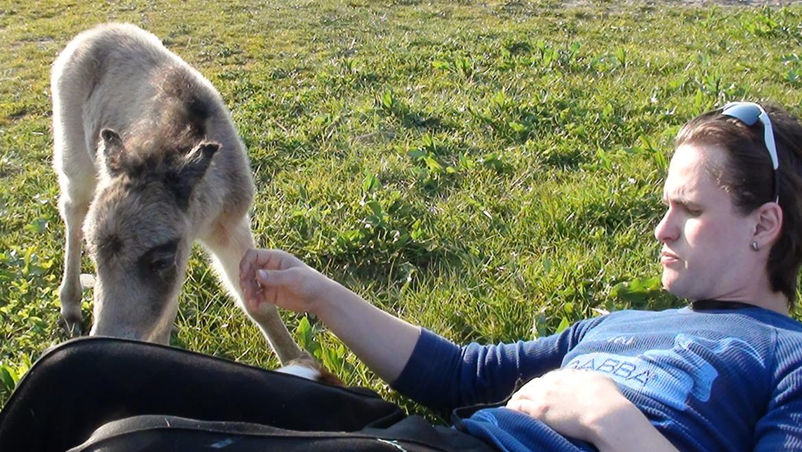 Belgisk Miniature Høgilds INKYS Golden Romance billede 4