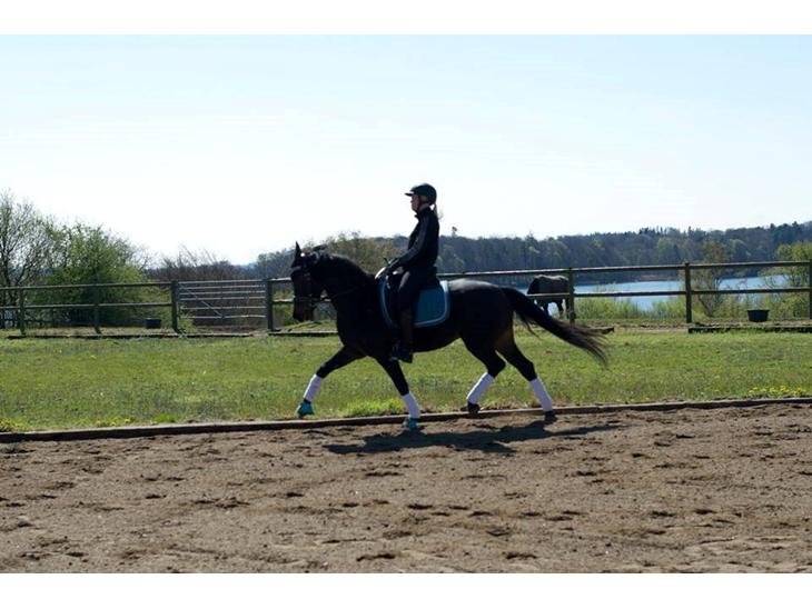 {{currentPhoto.altText}} billede {{currentPhoto.number}}