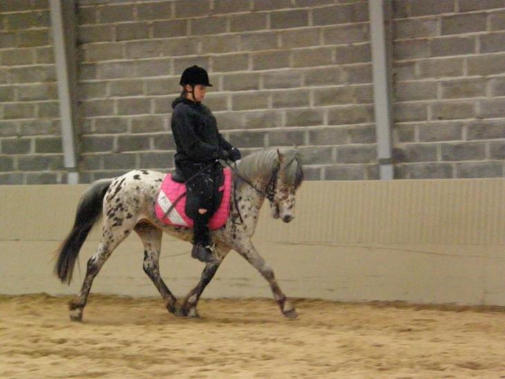 {{currentPhoto.altText}} billede {{currentPhoto.number}}