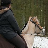 Anden særlig race Francisco's Karla (Lotte) 