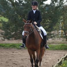 DSP Snorgaardens Monty