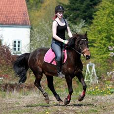 Anden særlig race Dyrkobbelgårds Amalie