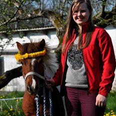 Shetlænder Dalagers Taz