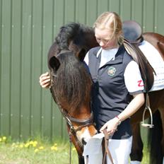 Welsh Cob (sec D) Valhallas (DK) Mabon Mai