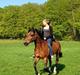 Tysk Sportspony Pablo John Halifax<3
