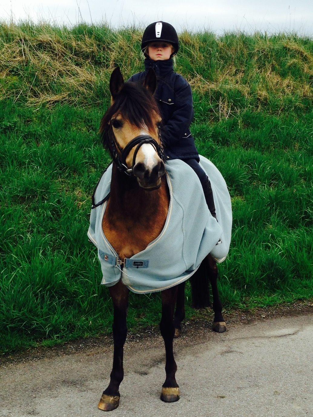 Anden særlig race Damgårds Maggie billede 12