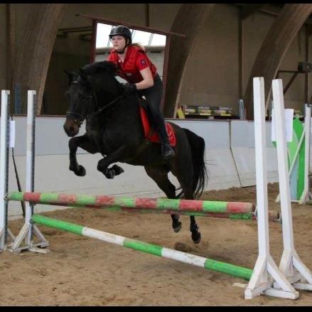 DSP Nørelunds Negro billede 13