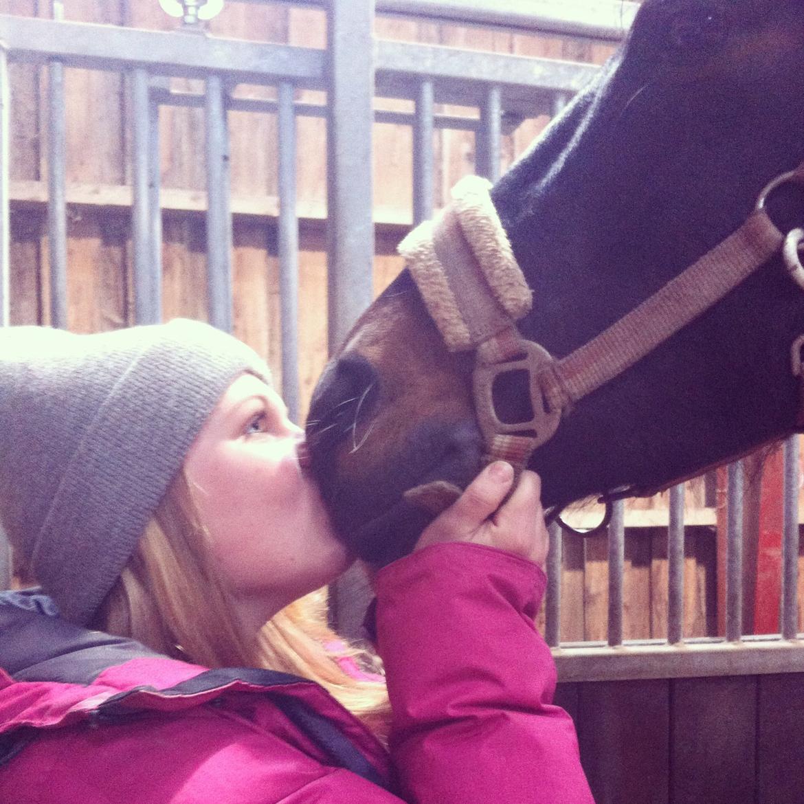 DSP Nørelunds Negro billede 18