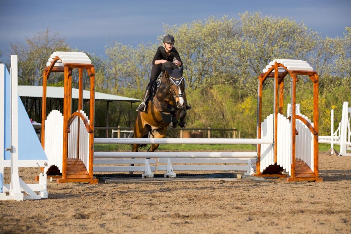 Anden særlig race Jari billede 32