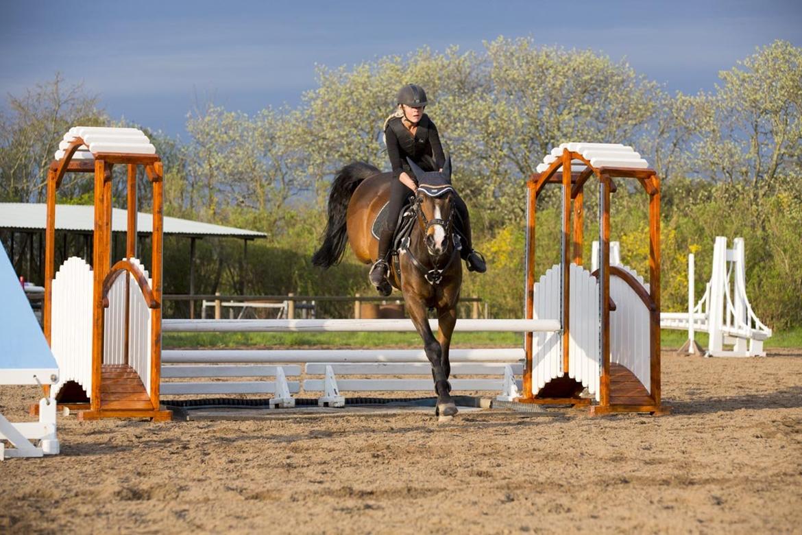 Anden særlig race Jari billede 34