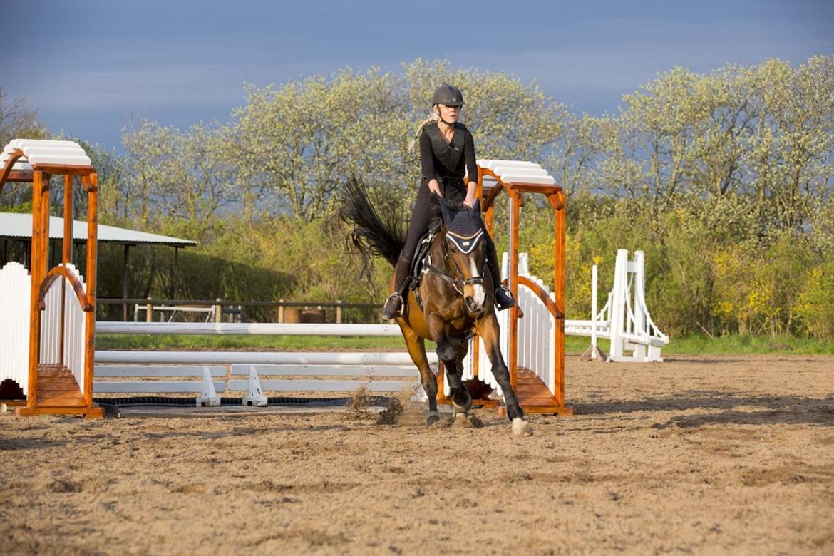 Anden særlig race Jari billede 36