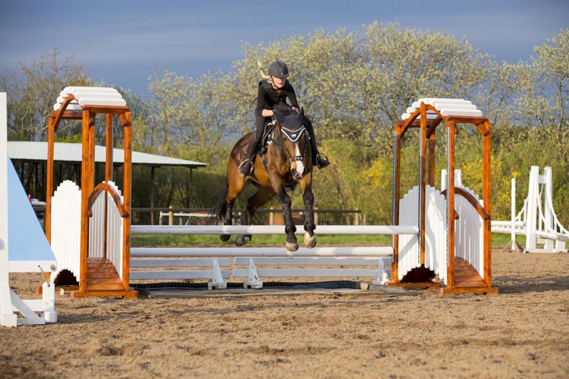 Anden særlig race Jari billede 33
