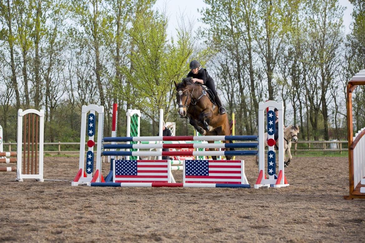 Anden særlig race Jari billede 40