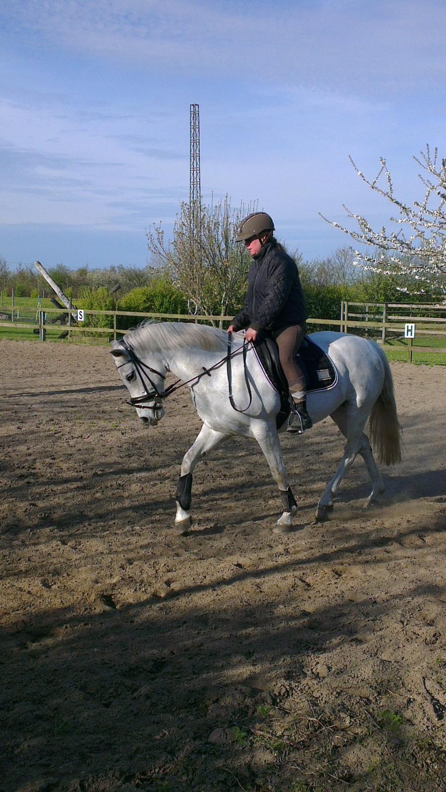 Connemara Barholts Blue Cocktail billede 10