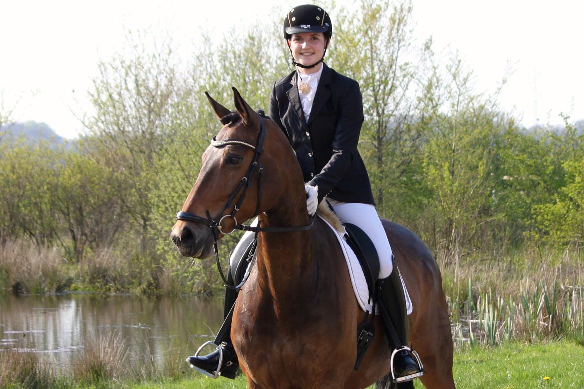 Dansk Varmblod Tjørnelys Raffiness RDH - April 2014 billede 20