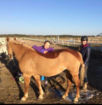 Haflinger Kousteds Ronja - 2 af de piger jeg elsker aller mest! Amalie og Ronja!<3 billede 23