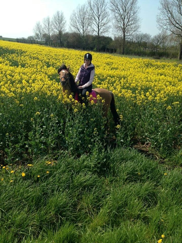 Anden særlig race Unica star billede 12