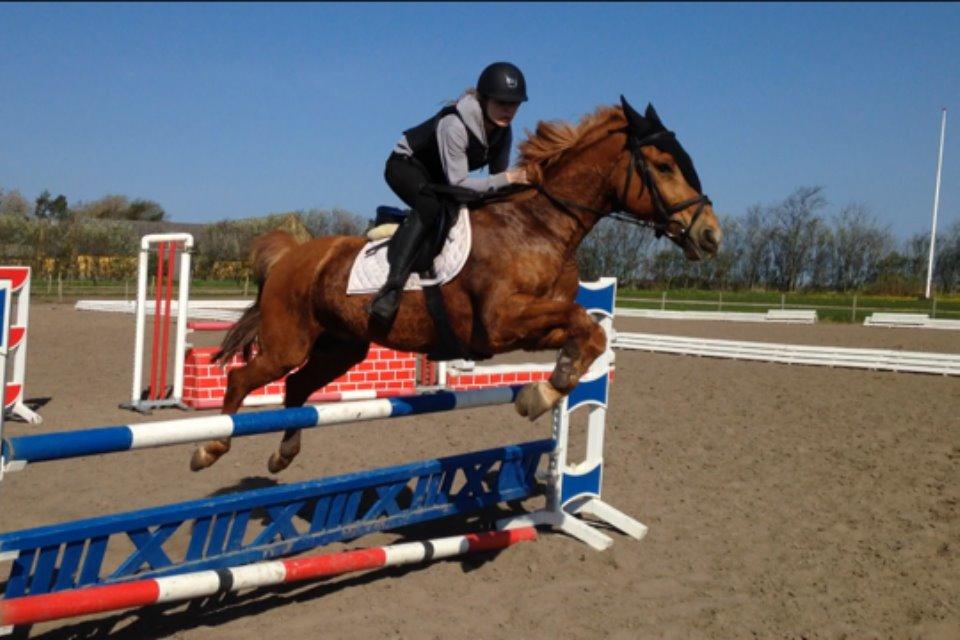 Anden særlig race Lykkelundens Jackpot<3 A pony - Jackpot sprringtræning d. 26-04-14 <3 Han er en stjerne! billede 1