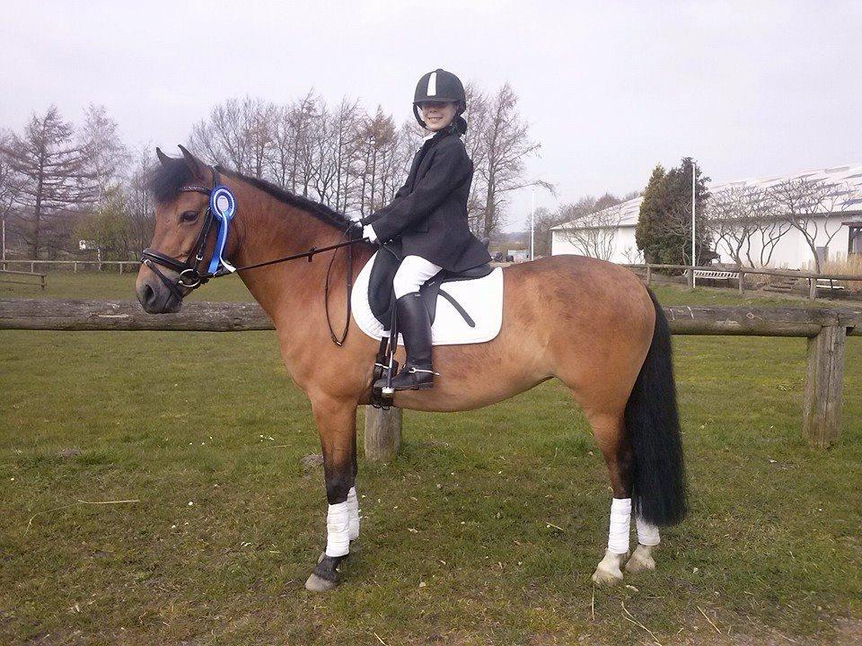 DSP Beauty billede 4