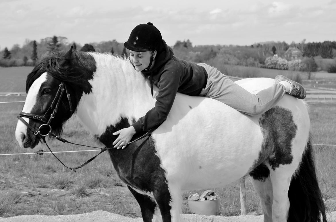 Tinker Lady Harmonie - En træt og dygtig fims :) April 2014 billede 18