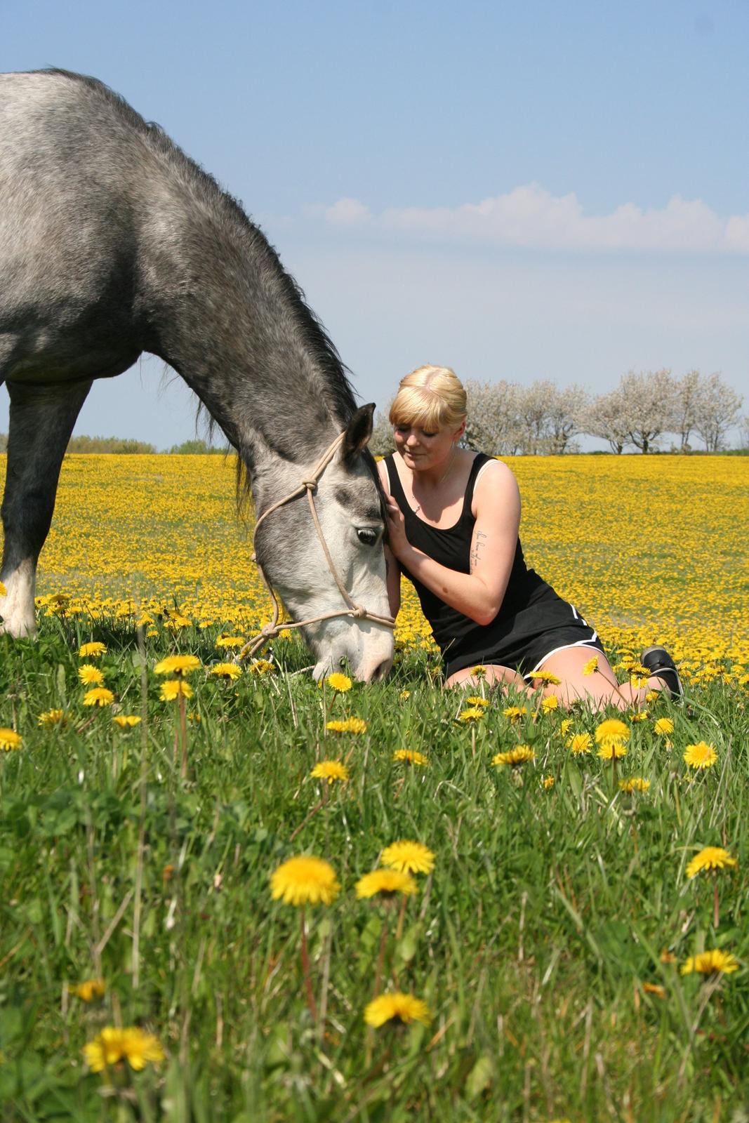Anden særlig race Rolighedens Caruzo billede 18