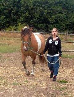 Anden særlig race Marusch billede 6